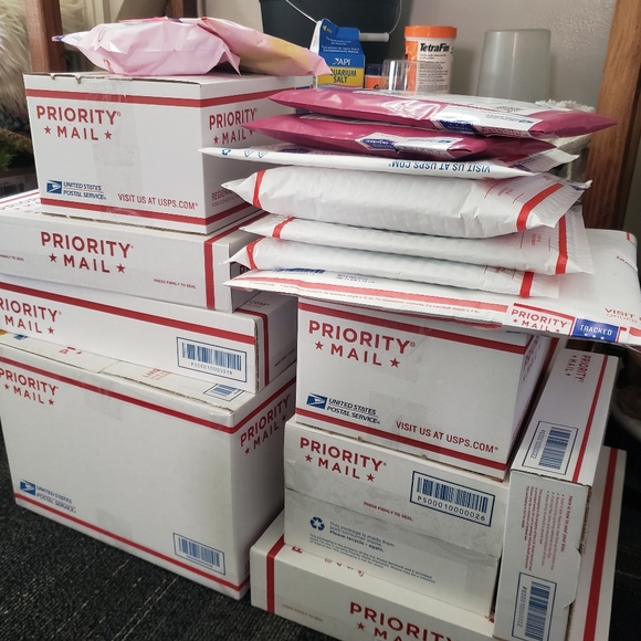 Meet your Posher, RACHELLE - Picture 6 of 6